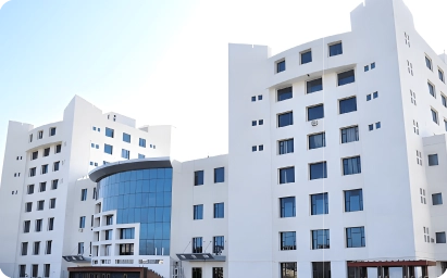 Suresh Gyan Vihar University